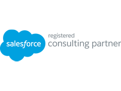 Salesforce Consulting Partner